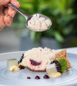 Royal-Garden-Hotel-London-Origin-Kensington-Yoghurt-Bramble-Cheesecake-Honey-Jelly-Lemon-Curd-01