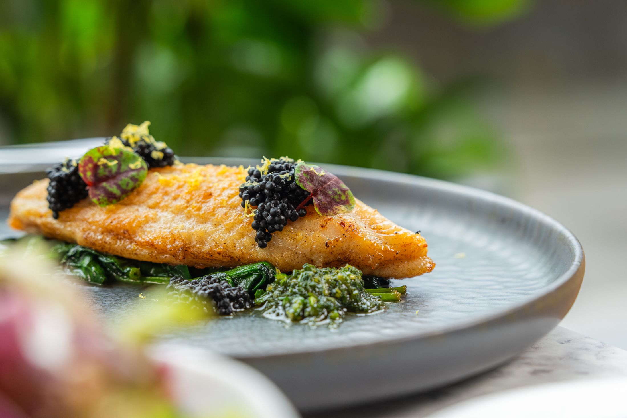 Royal-Garden-Hotel-London-Origin-Kensington-Lemon-Sole-Spinach-Lemon-Oil-Peas-Mint-Veloute-07